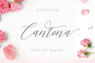 Cantona: A Handwritten Calligraphy Font for Elegant Design