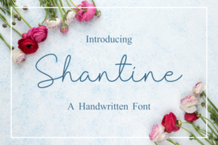Shantine: A Versatile Monoline Script for Elegant Design